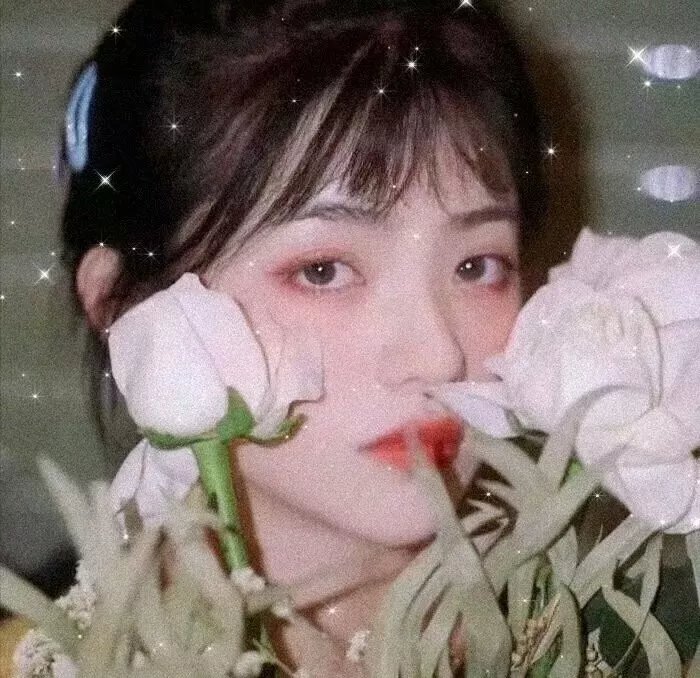 搞上大明星第二季